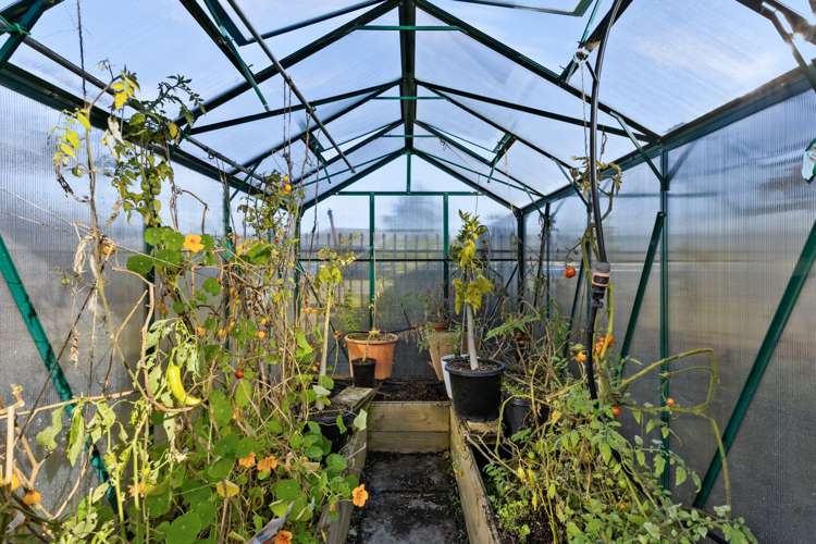 24 Mcnaughton Place Onekawa_17