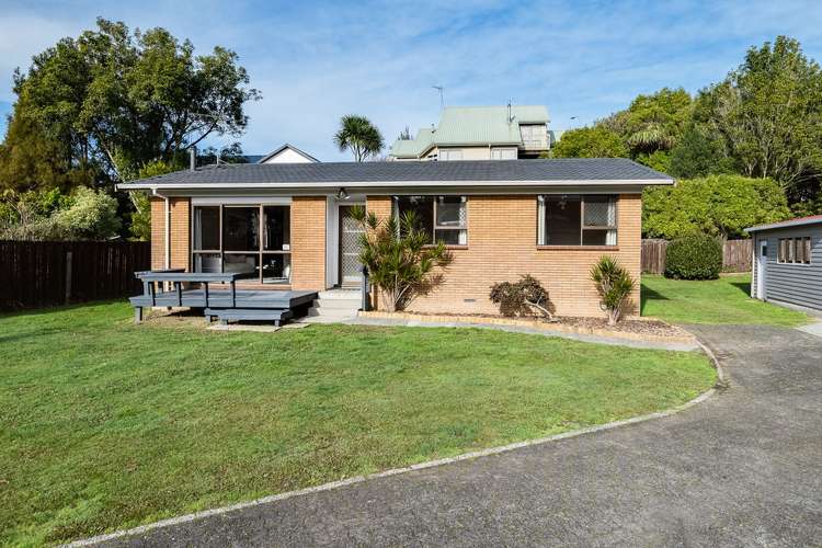 31 Culverdon Street Dinsdale_13