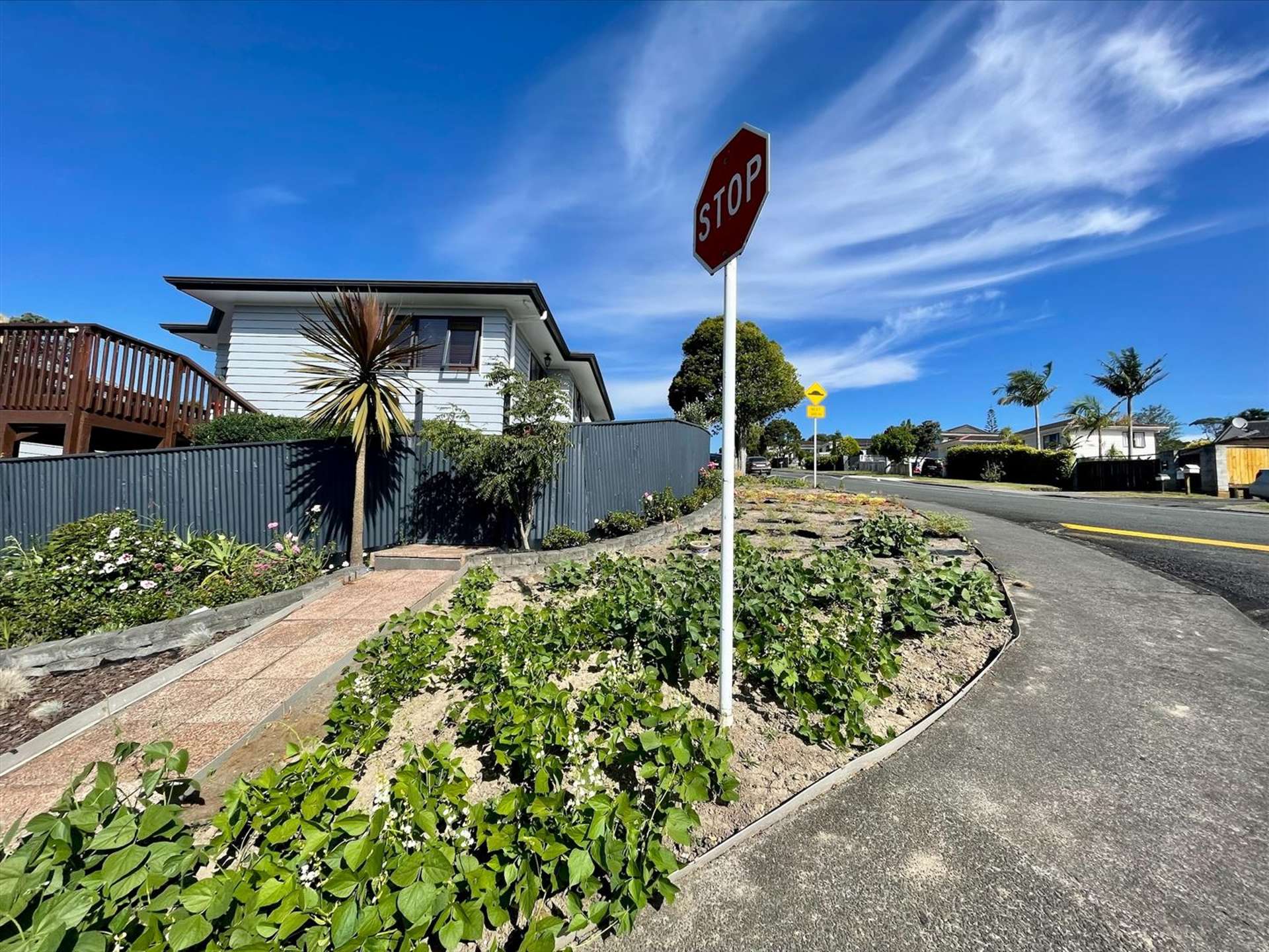 96 Sunvue Road Glen Eden_0