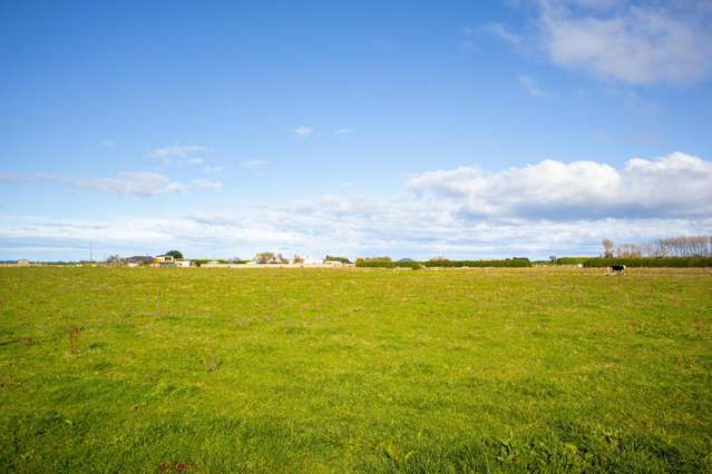 253 Tawhiti Road Hawera_3