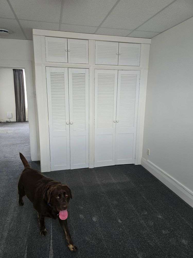 25 Marchant Street Putaruru_14