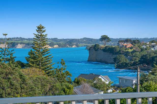 24 East Avenue Manly_4