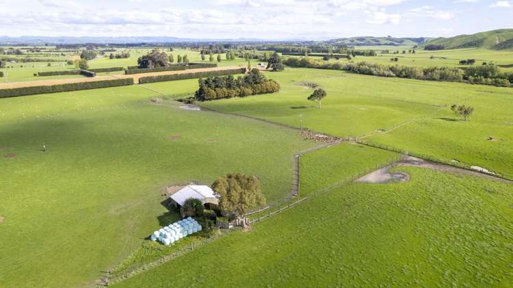 1007 State Highway 2 Masterton_12