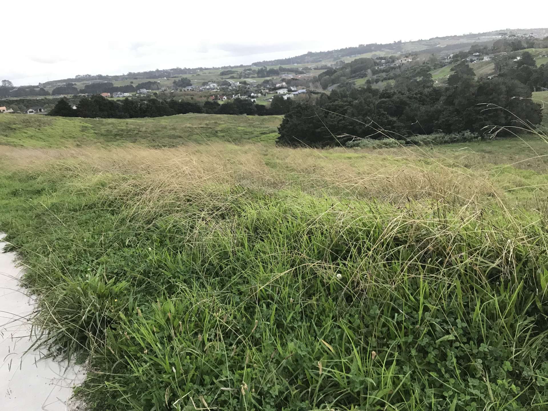 9 Kitenga Road Flat Bush_0