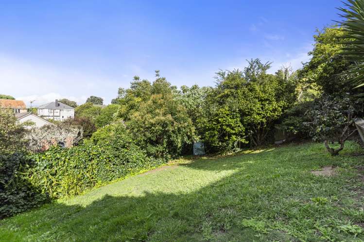 31 Scout Avenue Mount Roskill_13