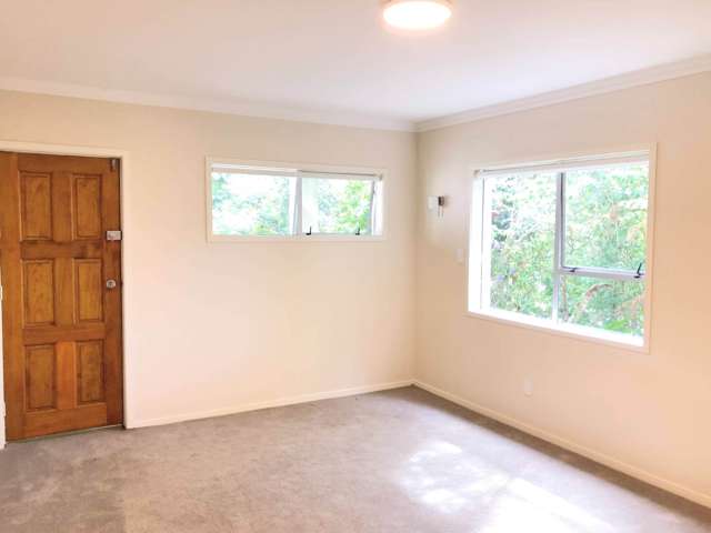 17B Chatfield Place Remuera_1