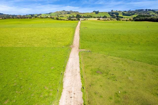 226 Pukearuhe Road Mimi_4