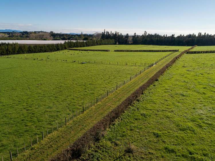 74 Armstrong Road Te Puna_6