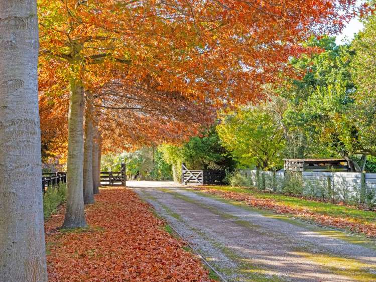 106 Mill Road Clarkville_37