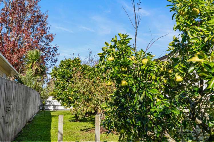 36 Mildmay Road Henderson_32