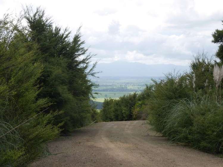 321a Quine Road Tahuna_19