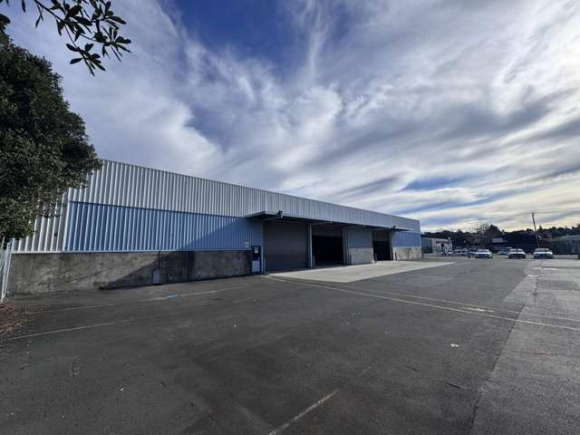 58 Koromiko Street Judea_2