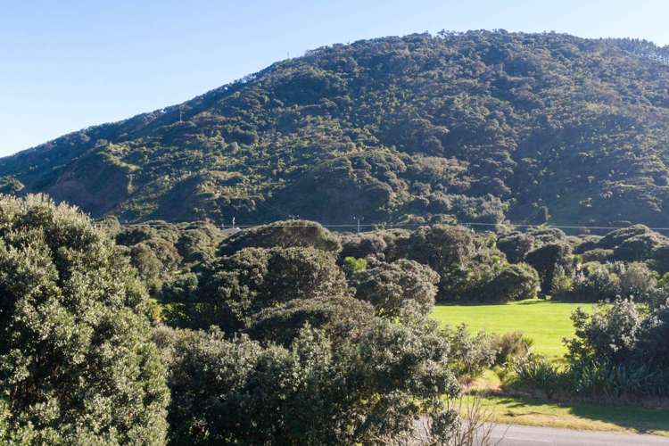 270 Bethells Road Bethells Beach_11
