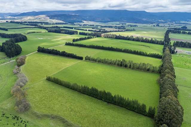 212 Prices Road Mount Somers_1