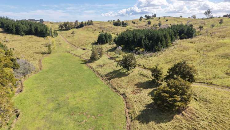 2934 State Highway 1 Umawera_5