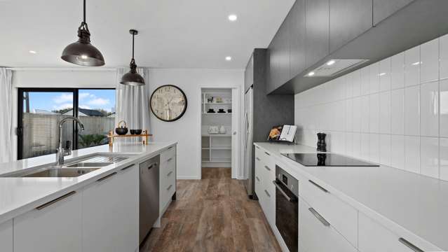 255 Parklands Avenue Taranaki_3