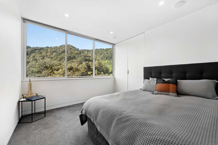 6a Francis Bell Grove Lowry Bay_13