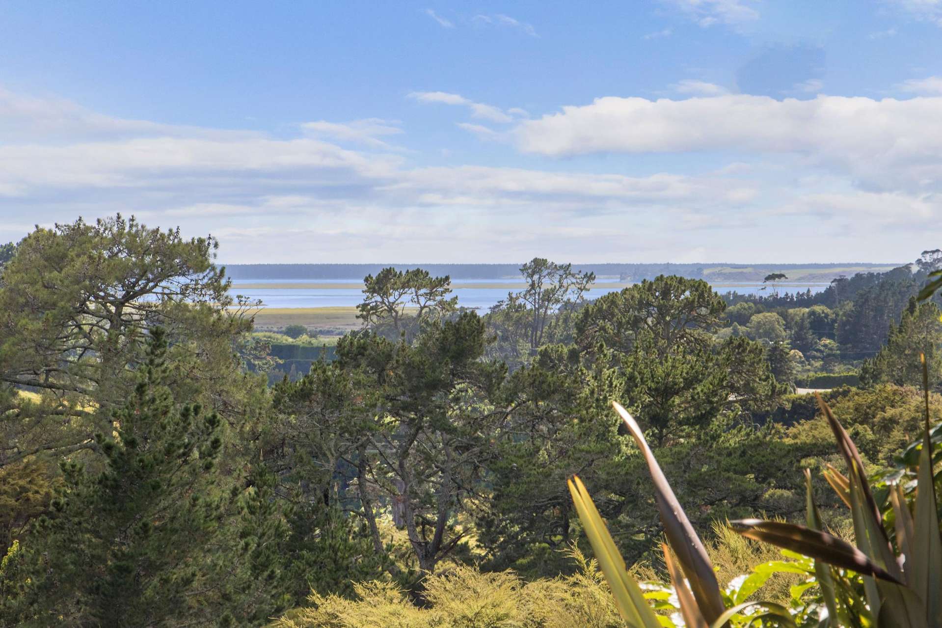 243A Wright Road Katikati_0