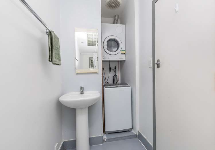 14 Mount Pleasant Road Aro Valley_13