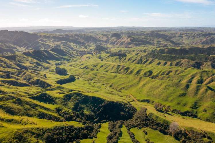 231 Leitch Road Piopio_12