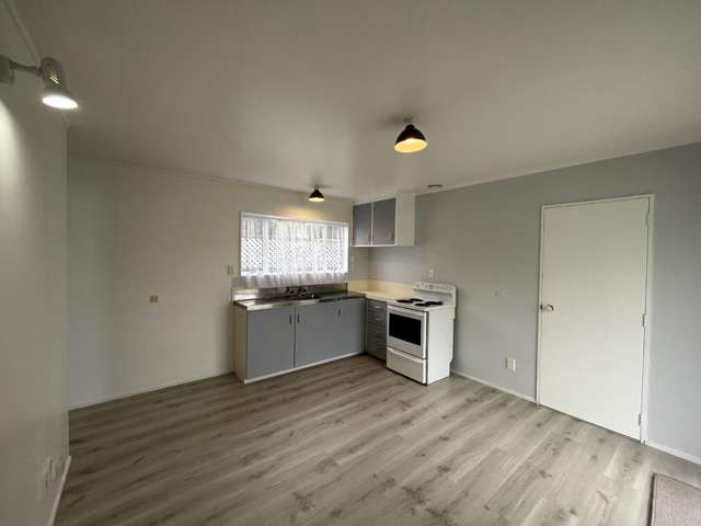 38A Abbotsford St Whitiora_4
