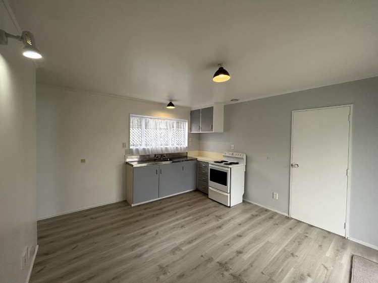38A Abbotsford St Whitiora_4