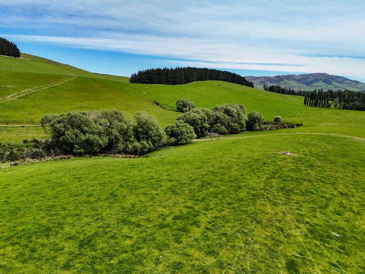 242 Caroline Valley Road Caroline_12