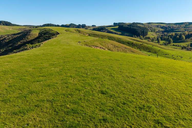 Ridge Road North Pahiatua_9