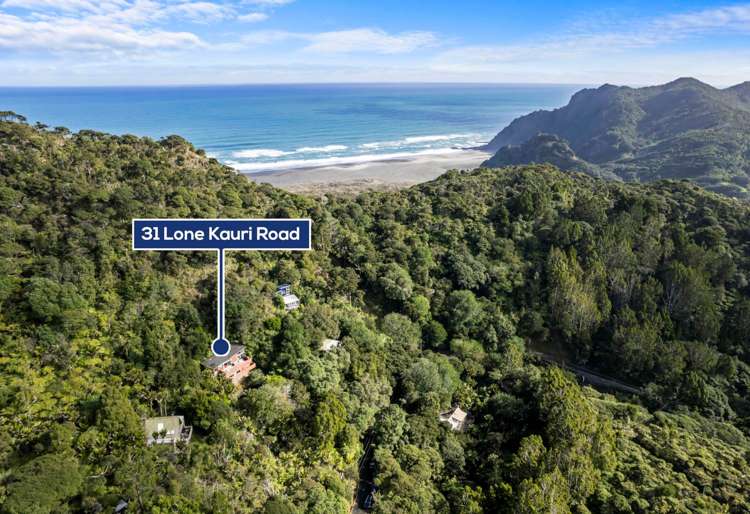 31 Lone Kauri Road Karekare_26