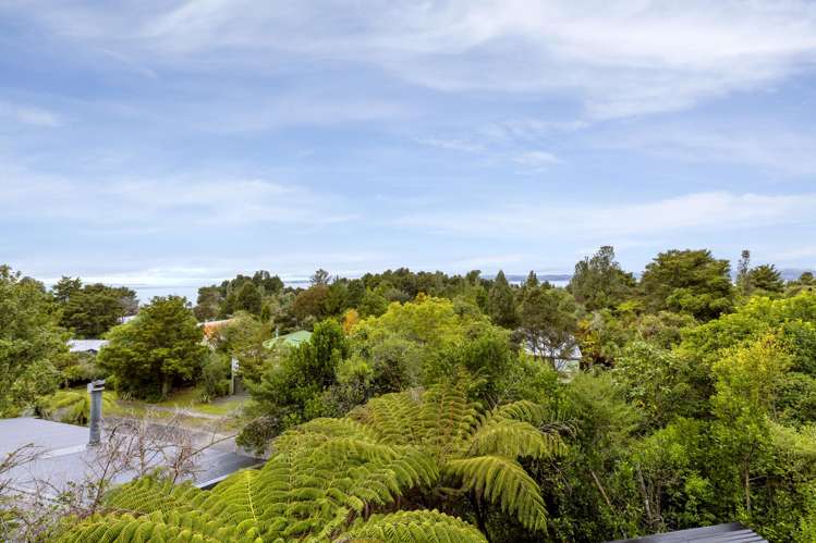 20 Te Kuru Lane Pukawa_21
