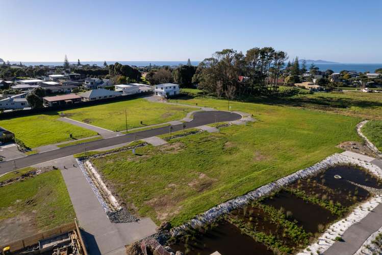 Citrus Avenue Waihi Beach_11