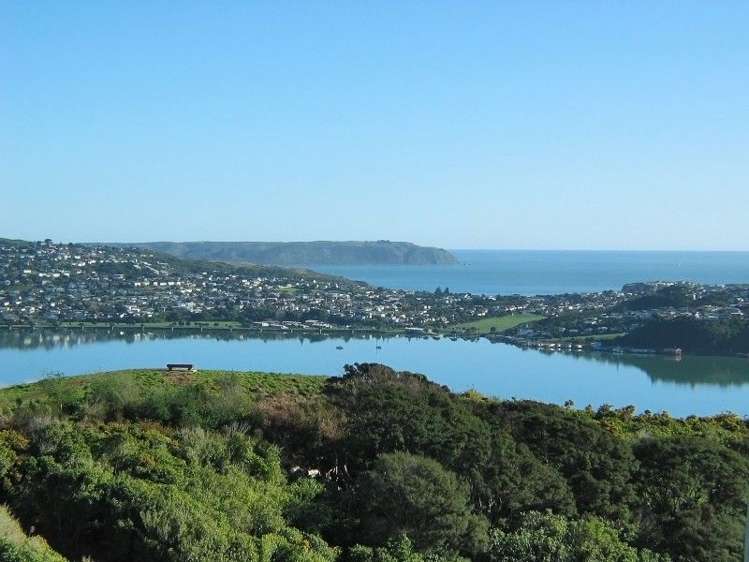 18 Kahurangi Heights Aotea_17
