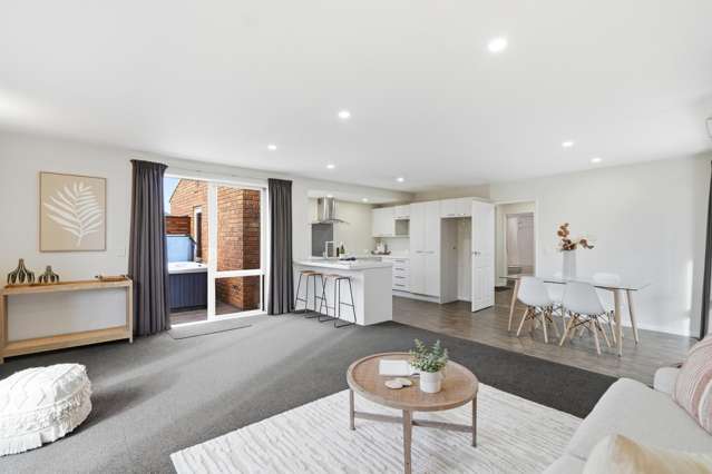 149 Edinburgh Street Spreydon_3
