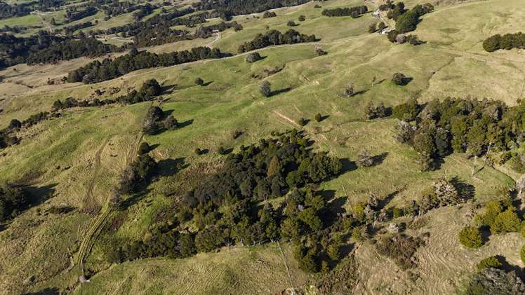 1387 State Highway 1 Okaihau_25