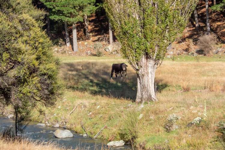 1180 Tyntesfield Road Waihopai Valley_27