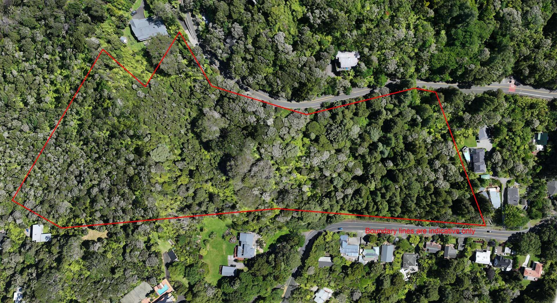14 Scenic Drive Titirangi_0