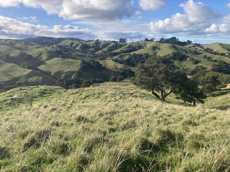 2829 Puketitiri Road Patoka_30