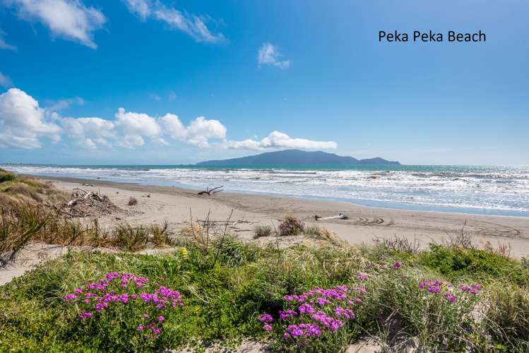 111 Peka Peka Road Peka Peka_8