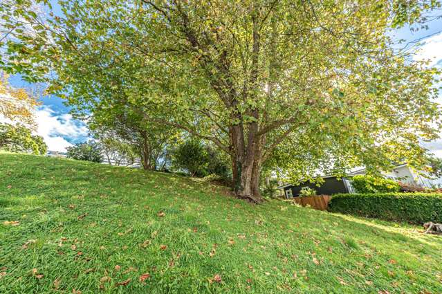 Lot 1 Hillside Terrace St Johns Hill_3