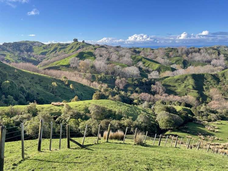 783 Glenroy Road Whangara_21