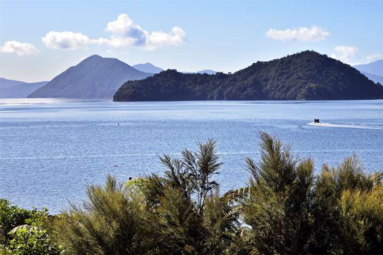 166 Elaine Bay Road Marlborough Sounds_20