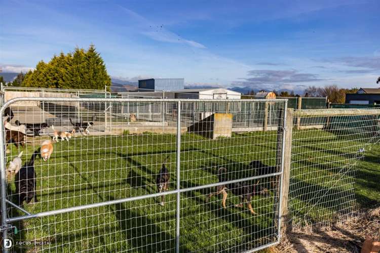 864 Lower Queen Street Richmond_18