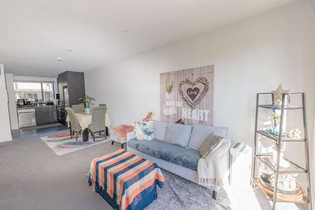 40 Ara Paiwhenua Tawa_3