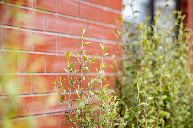 10/1 North Ridge Drive Rototuna North_22