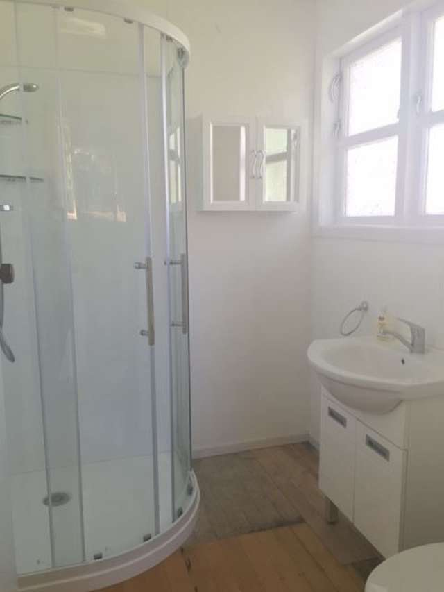 39 Kakamutu Road Otorohanga_3