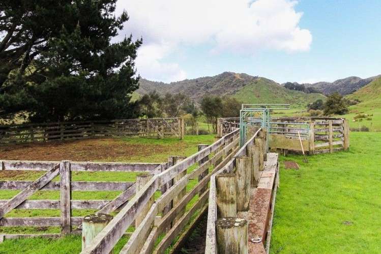 2560 Rawhitiroa Road Eltham_43