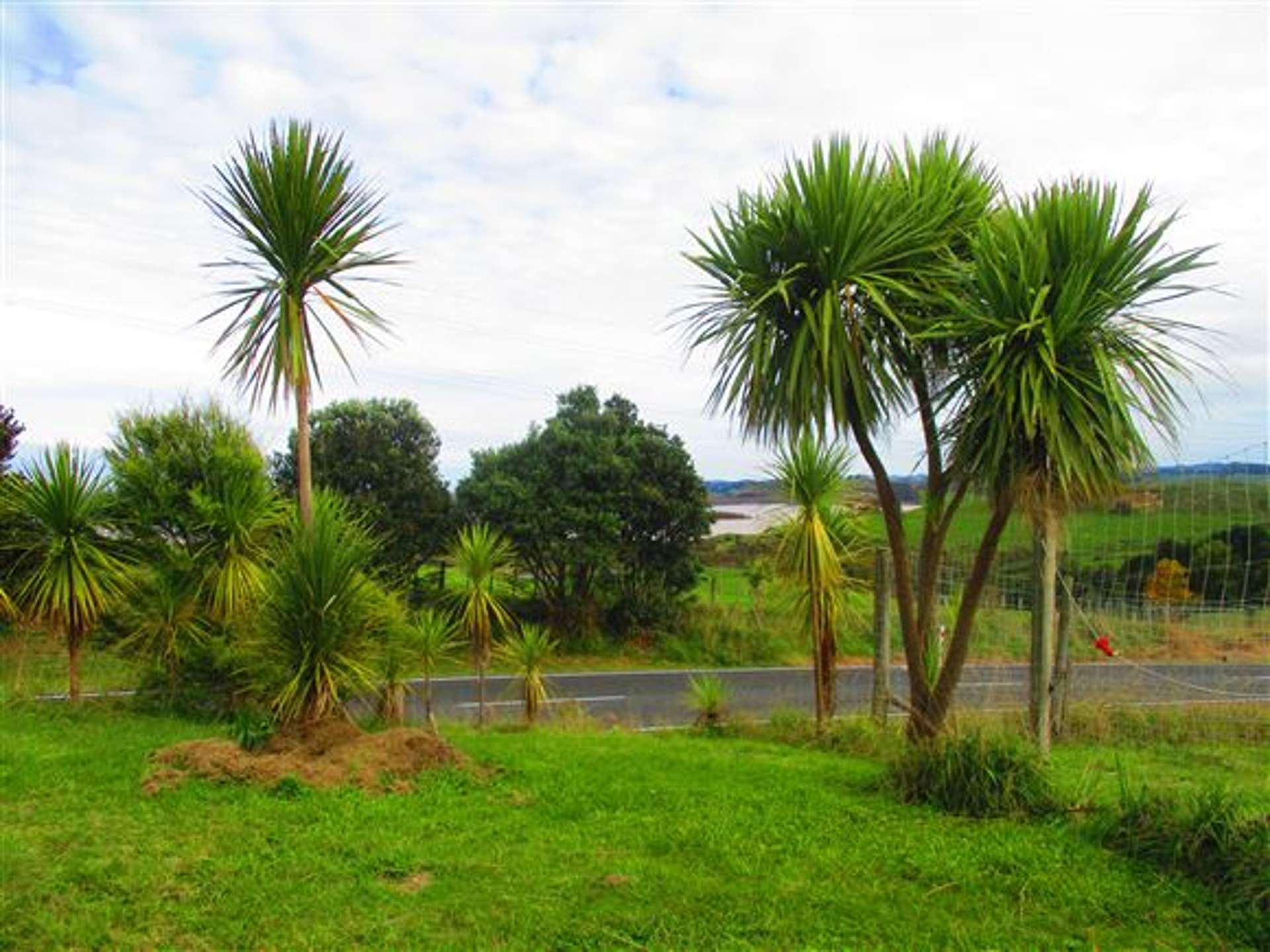 896a Glen Murray Road Rangiriri_0