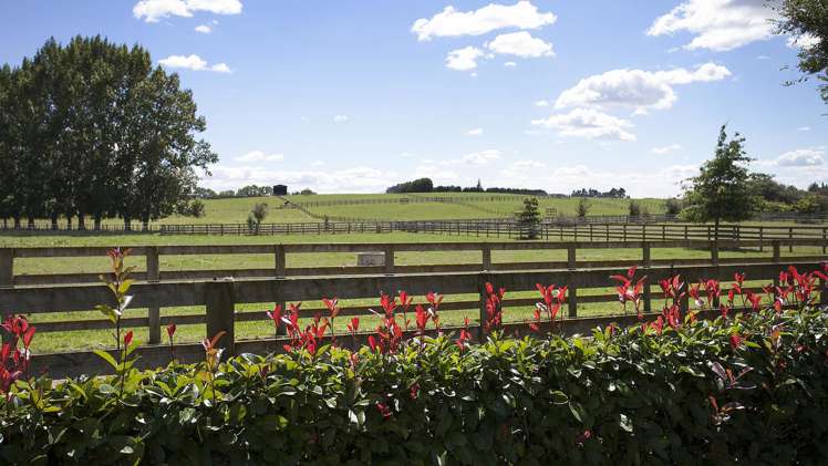 445 Mystery Creek Road Ohaupo_17