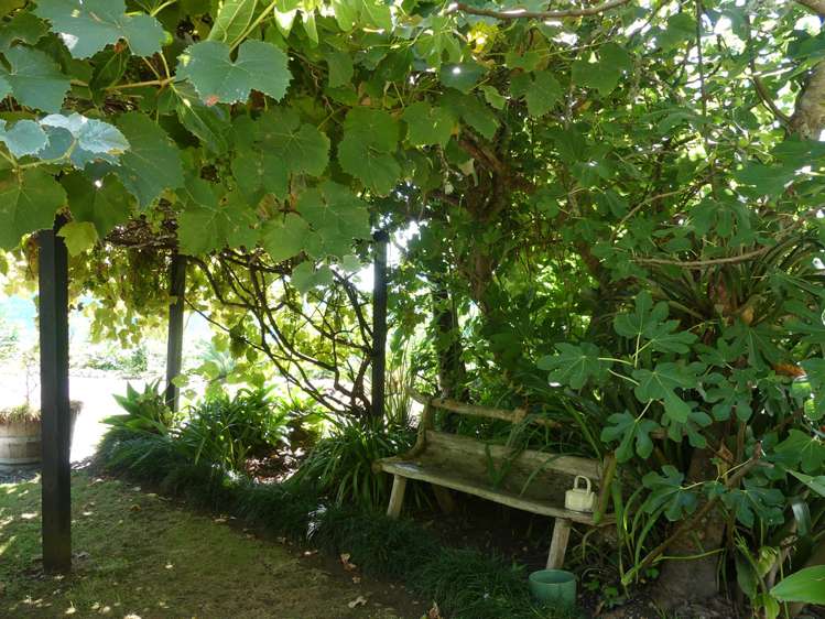 170a Kerikeri Inlet Kerikeri_22