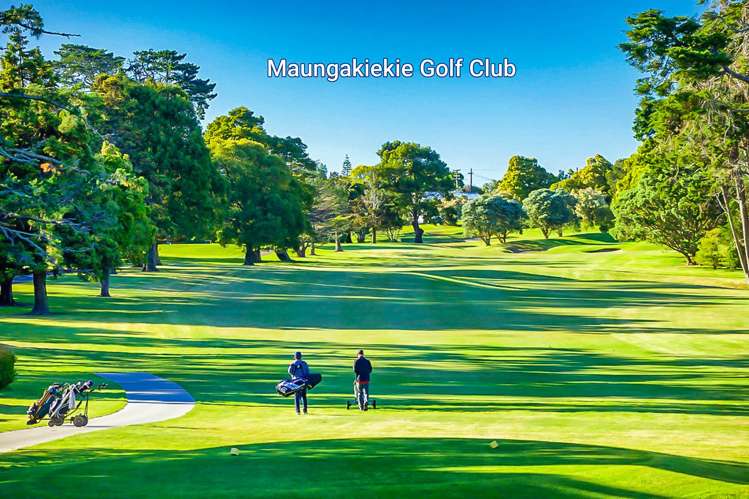 47 Gilletta Road Mount Roskill_14